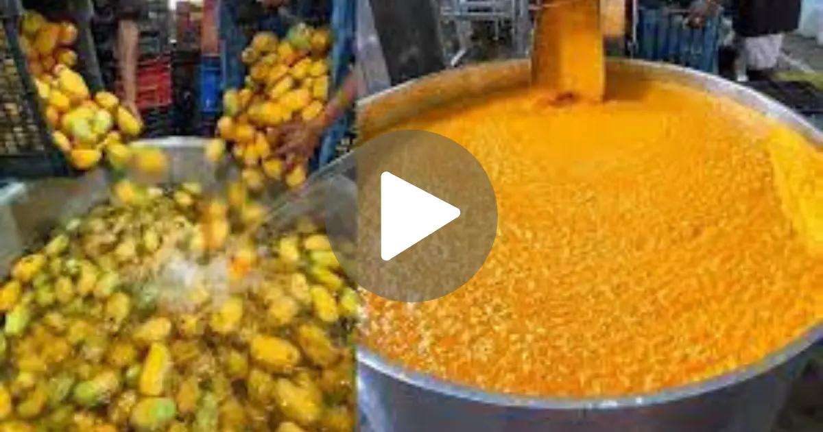 Mango Juice Making Process