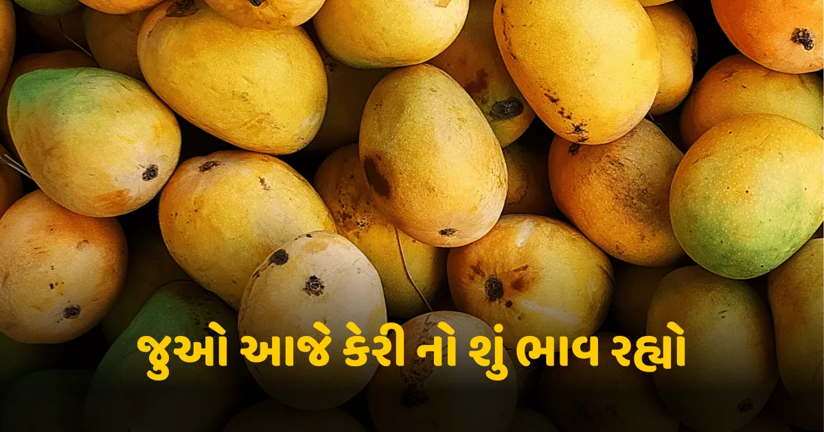 કેરી